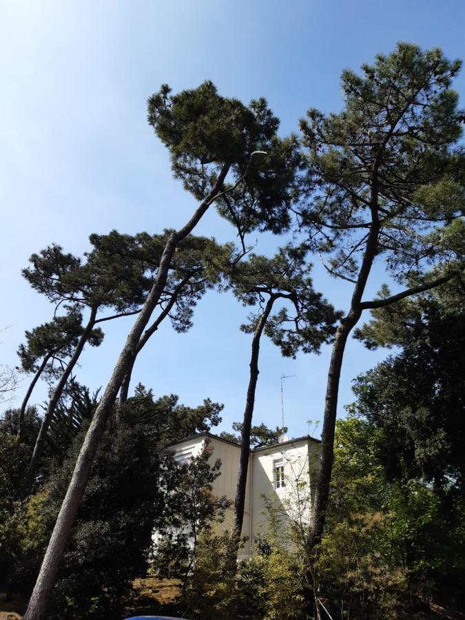 Agreable Studio Ronce Les Bains La Tremblade Exterior photo